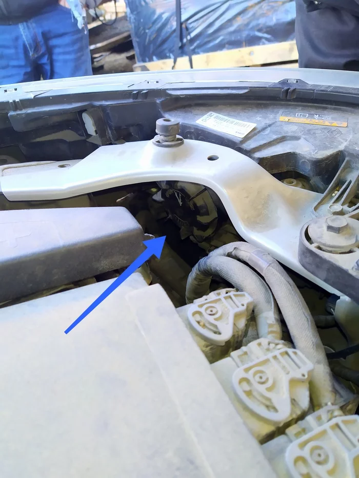 Replacing the xenon lamp in the Renault Latitude headlight - My, Auto electrician, Auto, Auto repair, Renault, Longpost