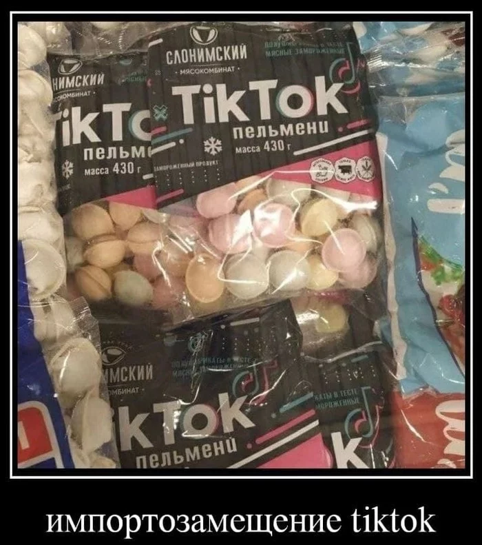 normal dumplings) - Politics, Import substitution, Tiktok, Demotivator