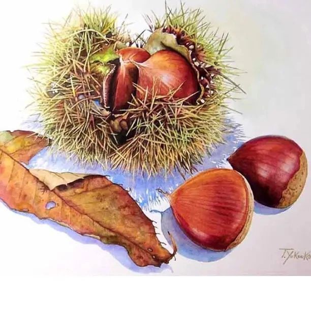 chestnuts - Art, Haiku, Basho, Chestnut