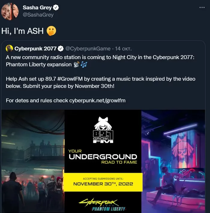 Киберпанк, которого мы не заслужили, но который нужен нам - Саша Грей, Cyberpunk 2077, Новости, Длиннопост