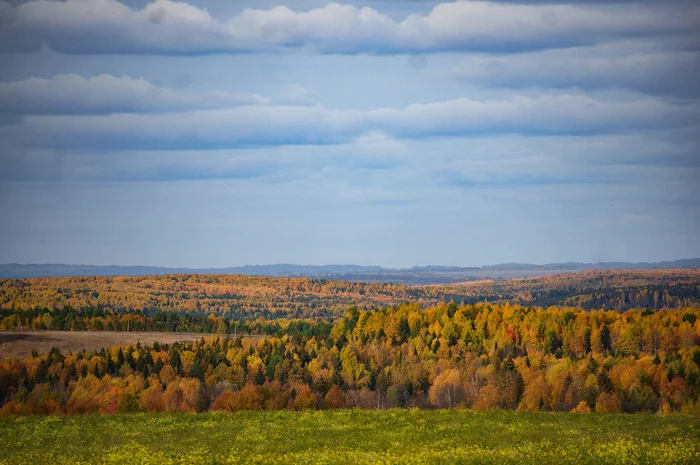Autumn. The woods. fields - My, Autumn, Forest, Field, Udmurtia, Landscape, The photo