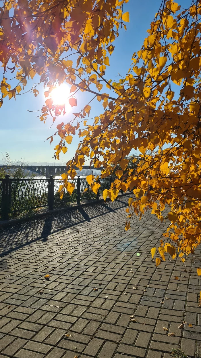 Сегодня на Александровском бульваре - Моё, Фотография, Красноярск, Осень, Сибирь, Енисей, Мост, Набережная