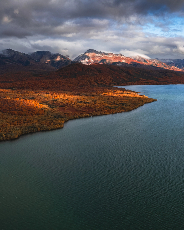 ����� �����������, ��������