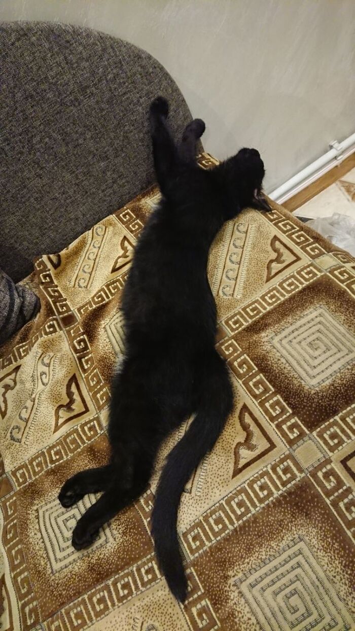        ,   , , , 