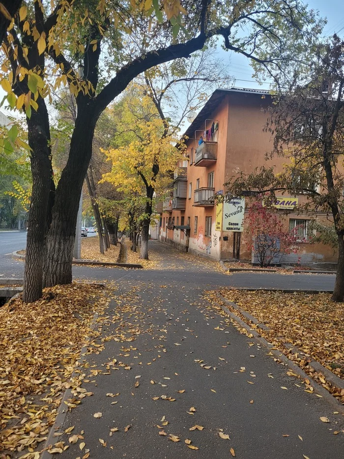 Октябрь - Моё, Осень, Осенние листья, Длиннопост