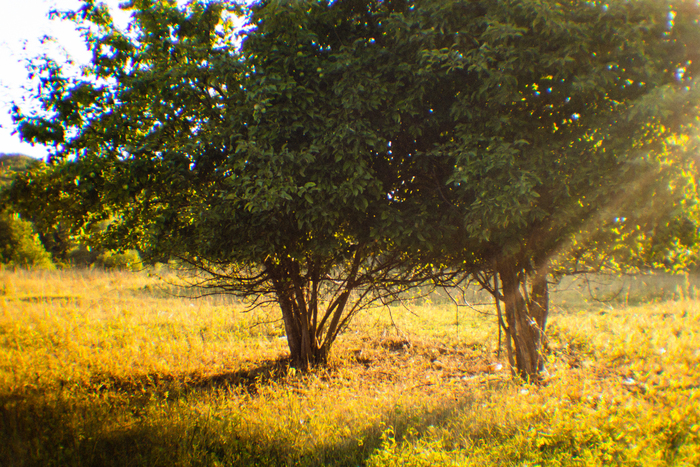 Воспоминания о прошедшем лете