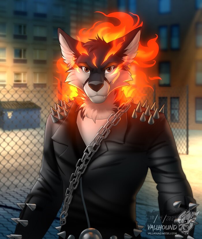   , Furry Fox,  , Furry Art, 