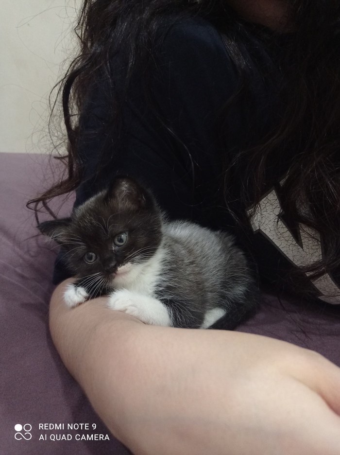 ������ ���� ����