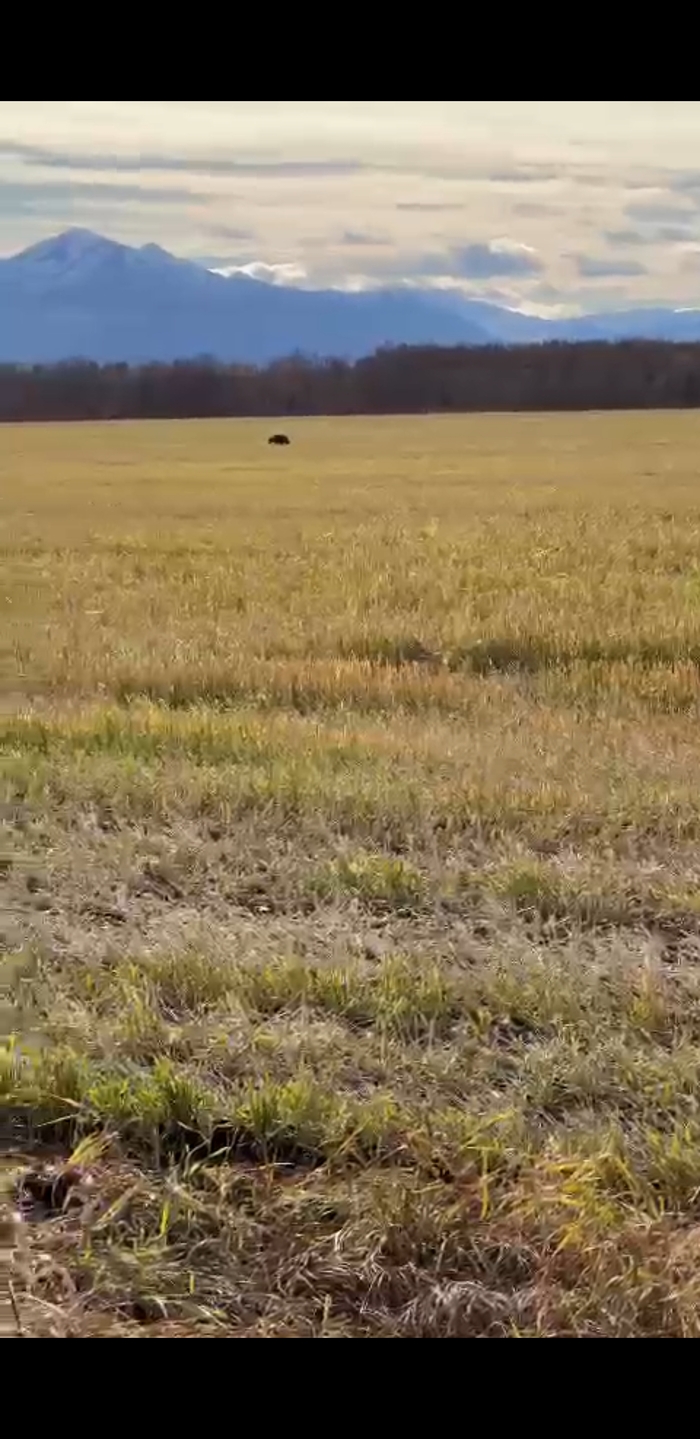 �������  ���������� ����������!!!