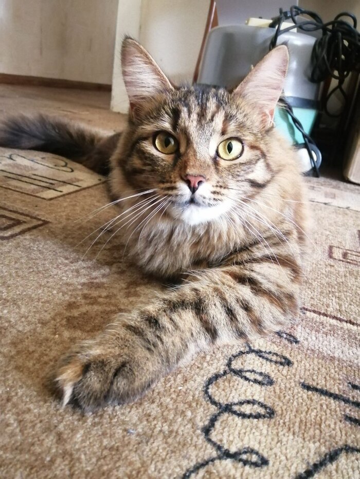 ������� �������� � �������� �����, ������