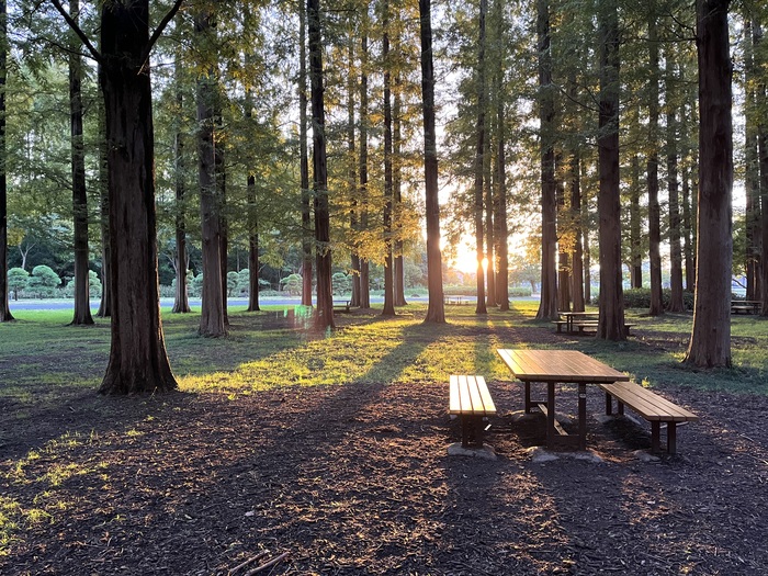 ���� Mizumoto