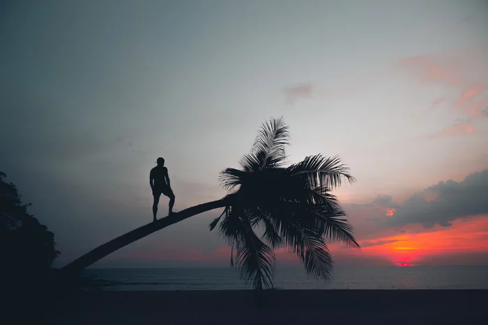 Riding on a palm tree - My, Photographer, The photo, beauty, Sunset, Thailand, Beach, Phuket, Palm trees, Silhouette