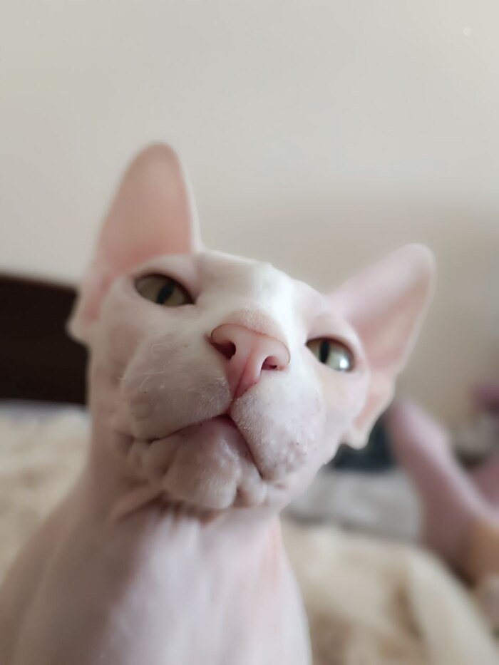 ����� �����