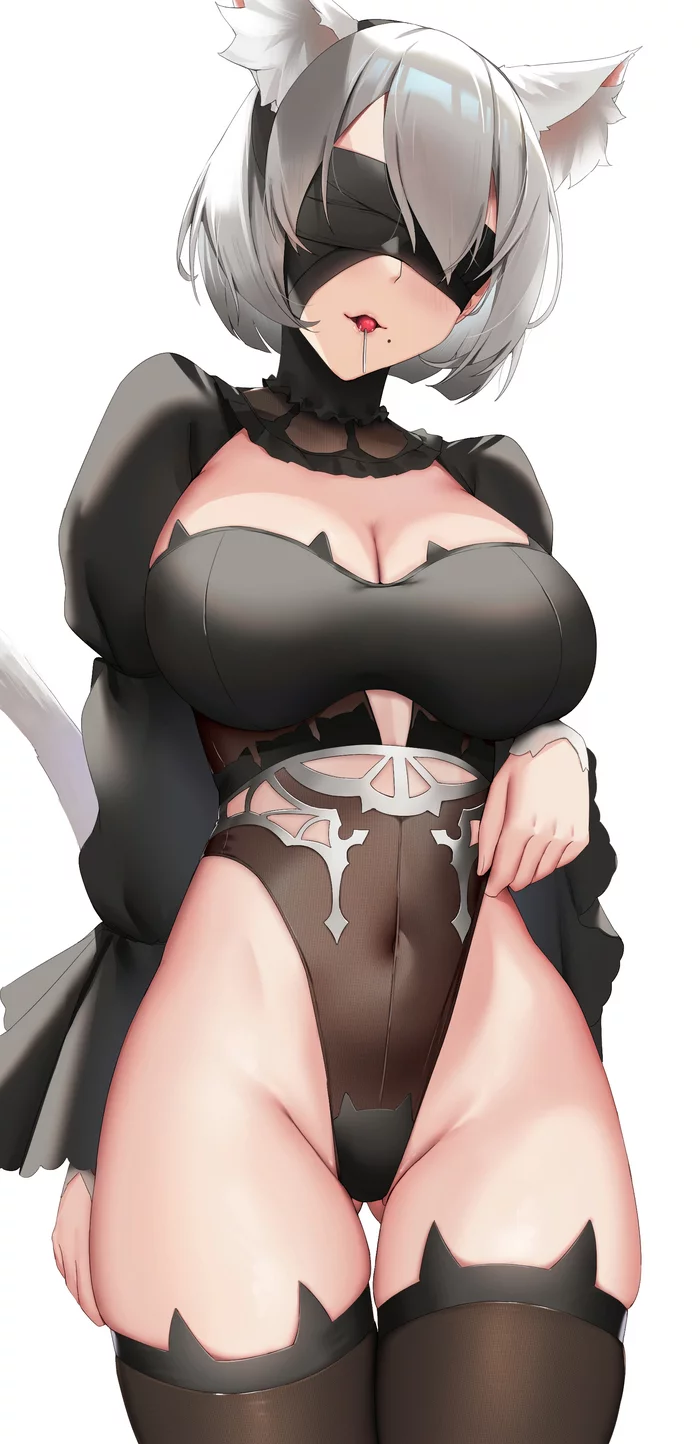 Neko 2B - NSFW, NIER Automata, Art, Games, Erotic, Neko