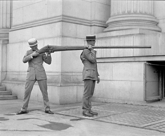 19th century waterfowl shotgun - Gun, Birds, Hunting, Big size, Repeat, Old photo