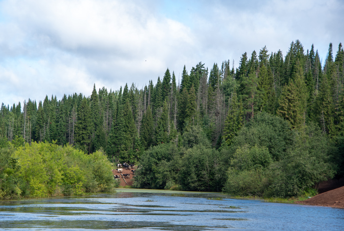 �� ��������� ��������. ���������� �����, ������ 2020 �