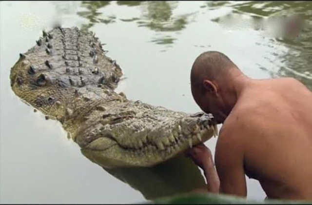 В Индии ушел из жизни священный крокодил-вегетарианец Крокодилы, Буддизм, Смерть, Животные