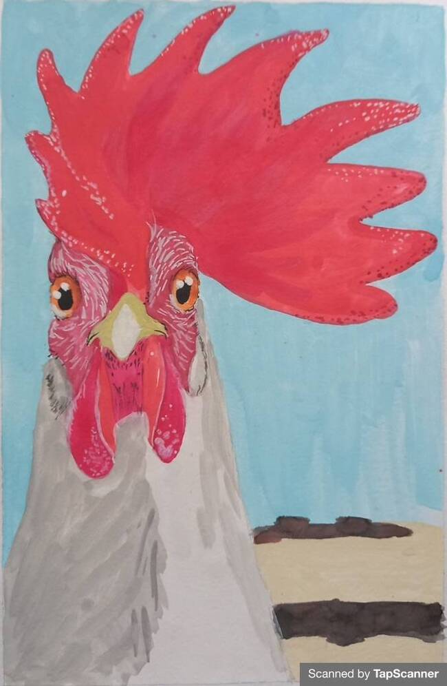 Reply to the post Watercolor chickens - Illustrations, Drawing, Art, Gouache, Rooster, Reply to post