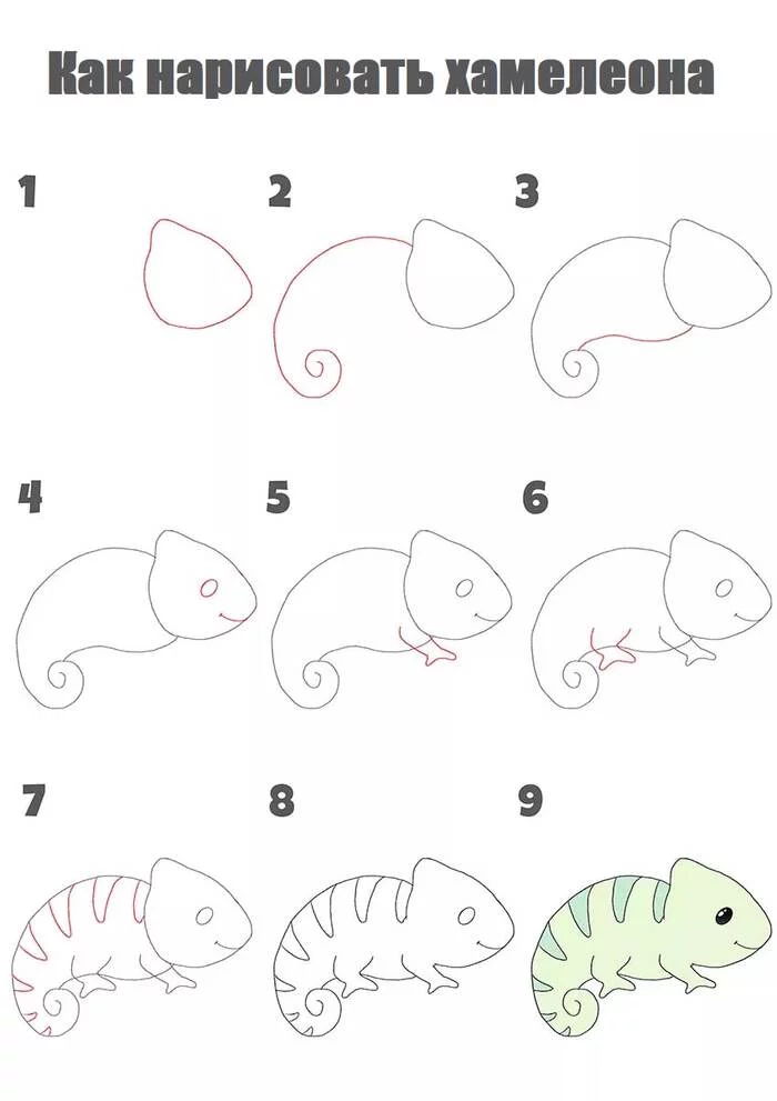 Draw a chameleon step by step - Chameleon, Animals, Nature, Drawing, Creation, Drawing lessons, Tutorial, Digital drawing, Art, Digital