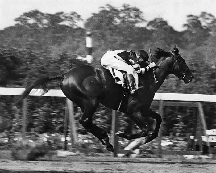 Sweet kiss of death - Death, Horse racing, Horses, Sport, Accident, Negative