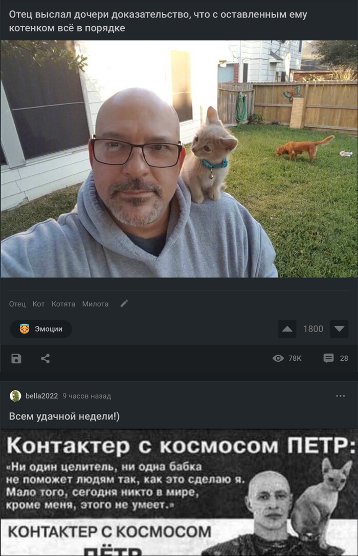 Забавное совпадение в ленте