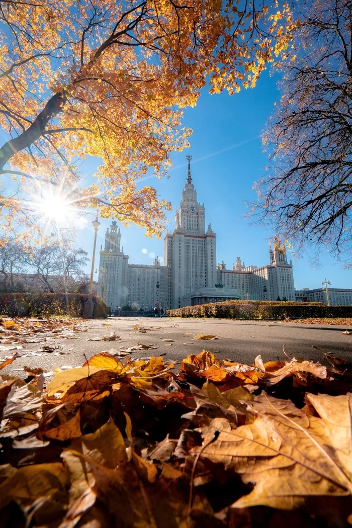 October sun - My, The photo, beauty, Town, Moscow, MSU