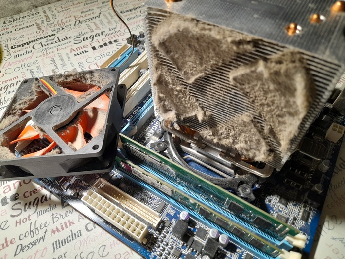 ���� �� ��� ������� ��� �������. �� ��� �� ����� � �������