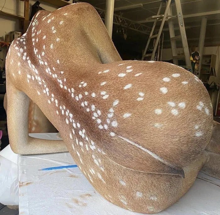 Sexy doe? - Deer, Humor