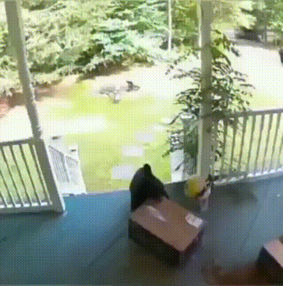 Кто тырит коробками. 