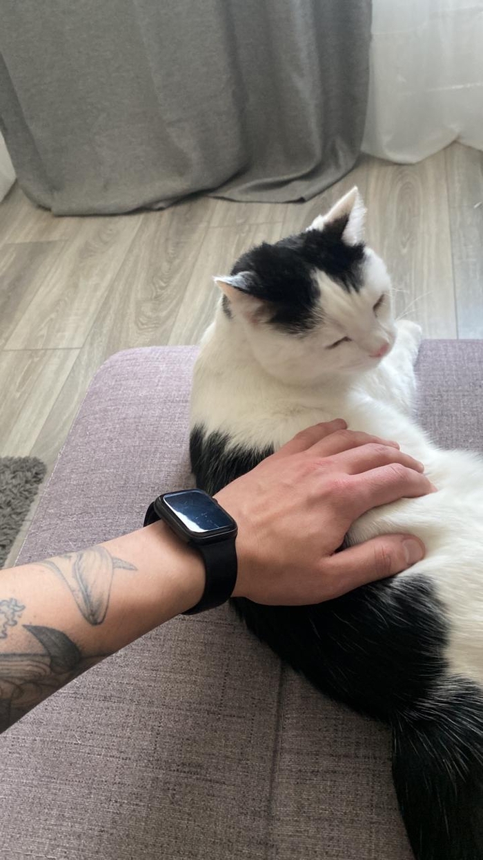 ������� �������������. �� ������ � �������. 1 ����� � ���������