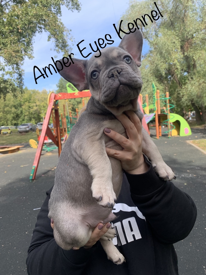 ���� �� ����� �������