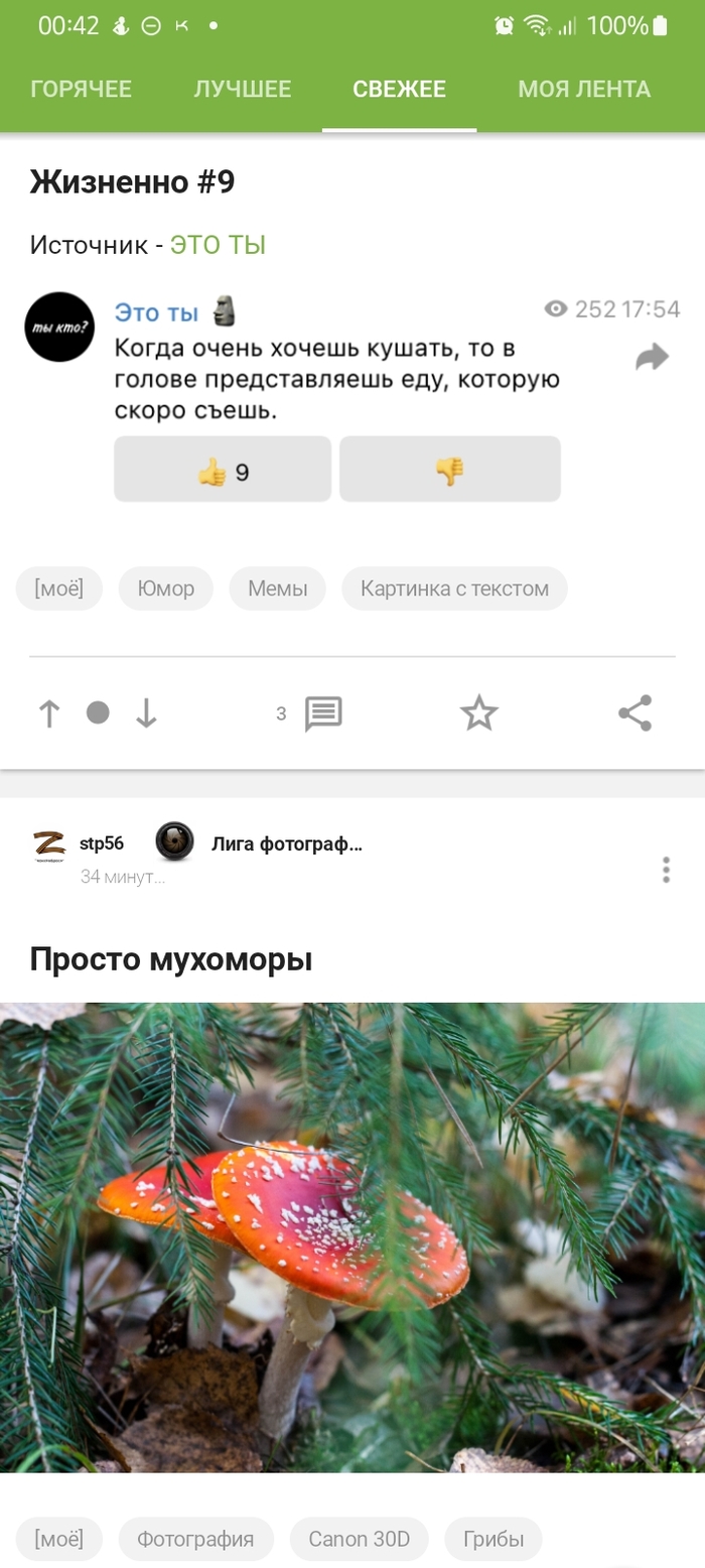 �������, ������. ����...