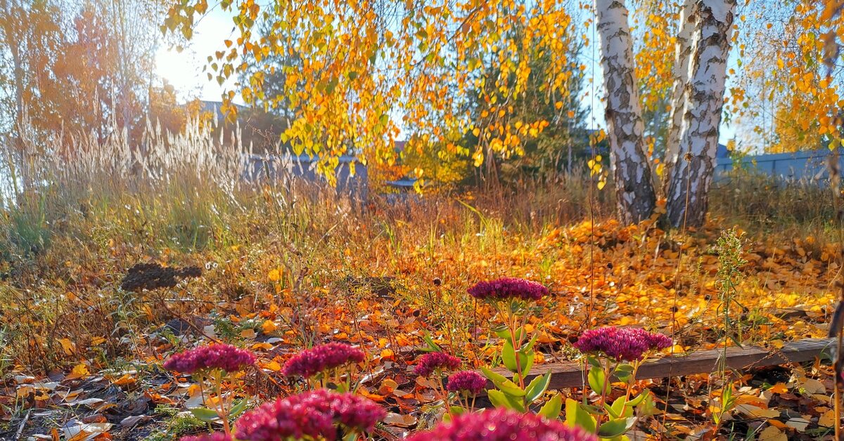 Фото Осеннее Утро В Улан Удэ