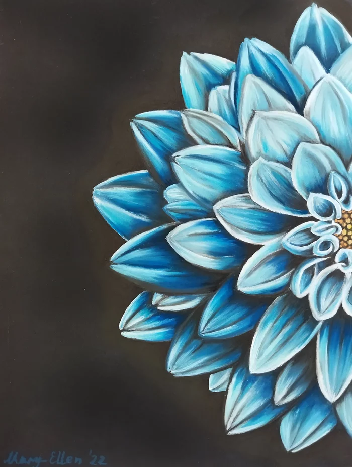 blue chrysanthemum - My, Chrysanthemums, Painting, Dry pastel, Flowers, Blue, Painting, Artist, Realism, Petals, Blue