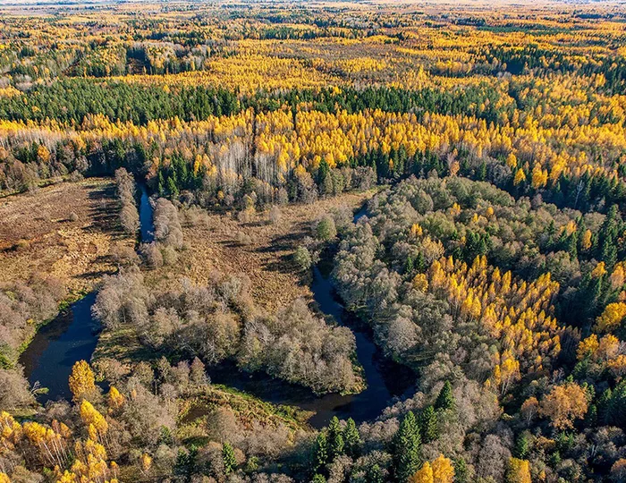 Autumn routes of Belarus - My, Interesting, Beautiful, Motorists, Car, Informative, Auto, Travels, Autumn, Travelers, Transport, Route, Republic of Belarus, The park, Ivye, Unusual, sights, Reserves and sanctuaries, Tourism, Castle, Longpost