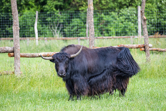 Осенние маршруты Беларуси Интересное, Красивое, Автомобилисты, Машина, Полезное, Познавательно, Авто, Путешествия, Осень, Путешественники, Транспорт, Маршрут, Республика Беларусь, Парк, Ивье, Необычное, Достопримечательности, Заповедники и заказники, Туризм, Дворец, Длиннопост
