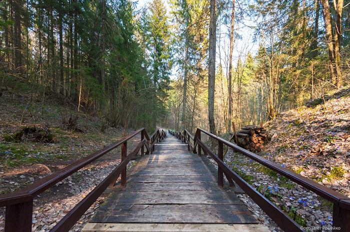 Осенние маршруты Беларуси Интересное, Красивое, Автомобилисты, Машина, Полезное, Познавательно, Авто, Путешествия, Осень, Путешественники, Транспорт, Маршрут, Республика Беларусь, Парк, Ивье, Необычное, Достопримечательности, Заповедники и заказники, Туризм, Дворец, Длиннопост