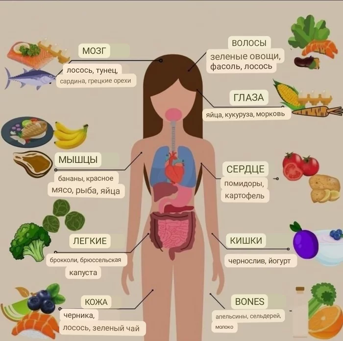 Полезная еда для разных органов - Еда, Полезное, Организм, Правильное питание, Картинка с текстом