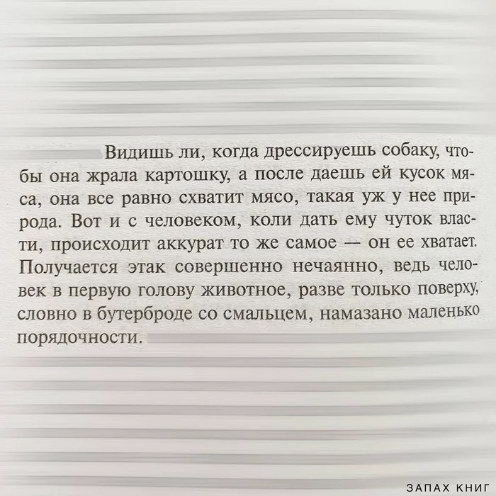 На Западном фронте без перемен - Цитаты, Картинка с текстом, Философия, Власть