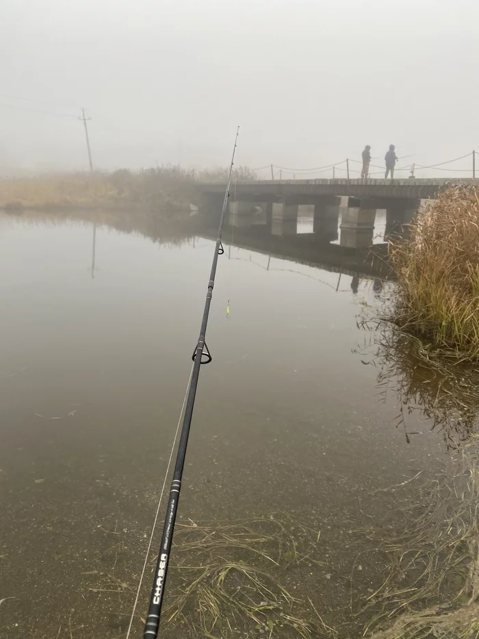 In search of kunja - My, Fishing, Sakhalin, Spinning, A fish, River, The photo