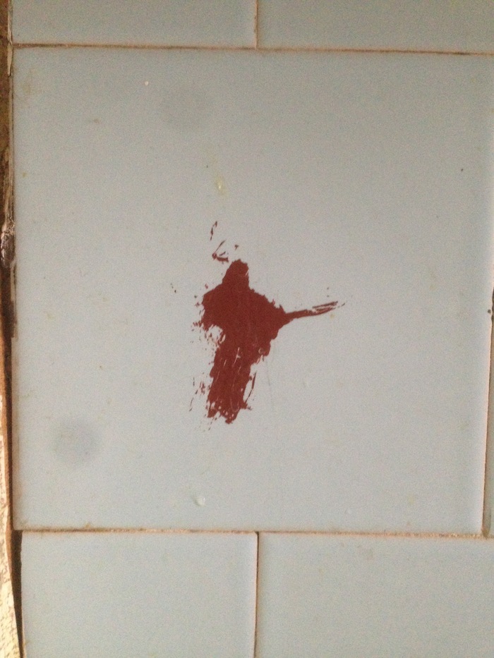 ����� ������ �� ����� ����� �������