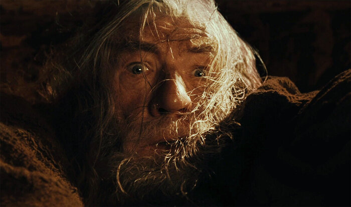 Бегите, глупцы!