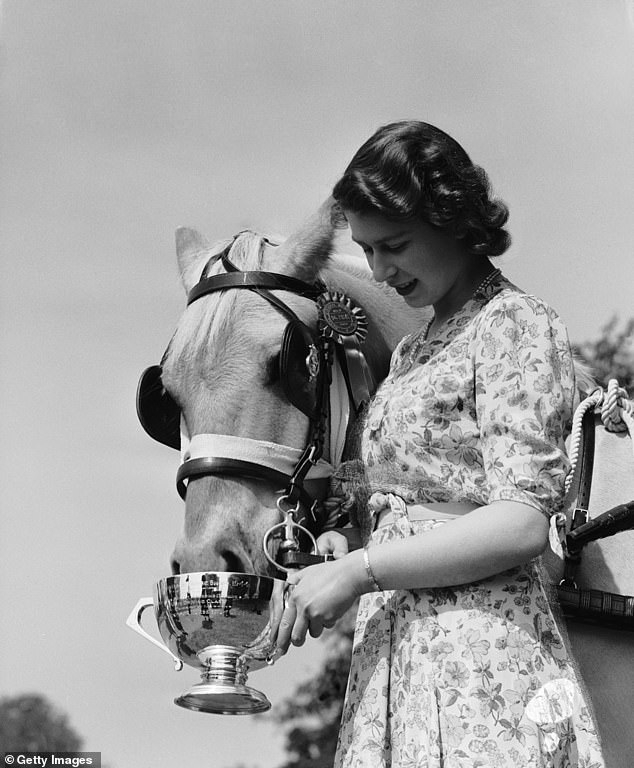 Queen Elizabeth II's horses up for auction - Horses, Sale, Queen Elizabeth II, Animals, Great Britain, Inheritance, Longpost