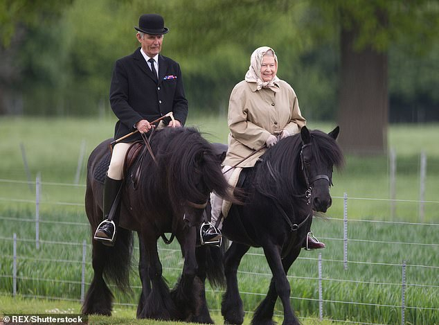 Queen Elizabeth II's horses up for auction - Horses, Sale, Queen Elizabeth II, Animals, Great Britain, Inheritance, Longpost