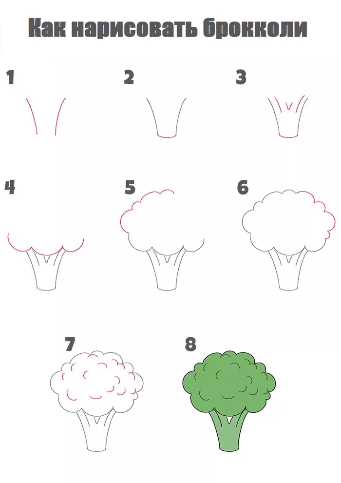 Drawing broccoli step by step - Broccoli, Vegetables, Creation, Painting, Drawing, Drawing process, Digital, Art, Digital drawing, Drawing lessons, Tutorial