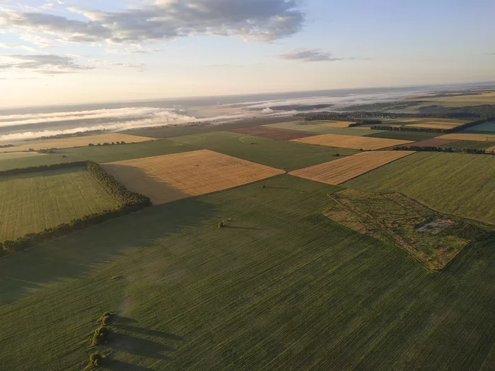 And my favorite frame - My, Mobile photography, Balloon, View from above, Field