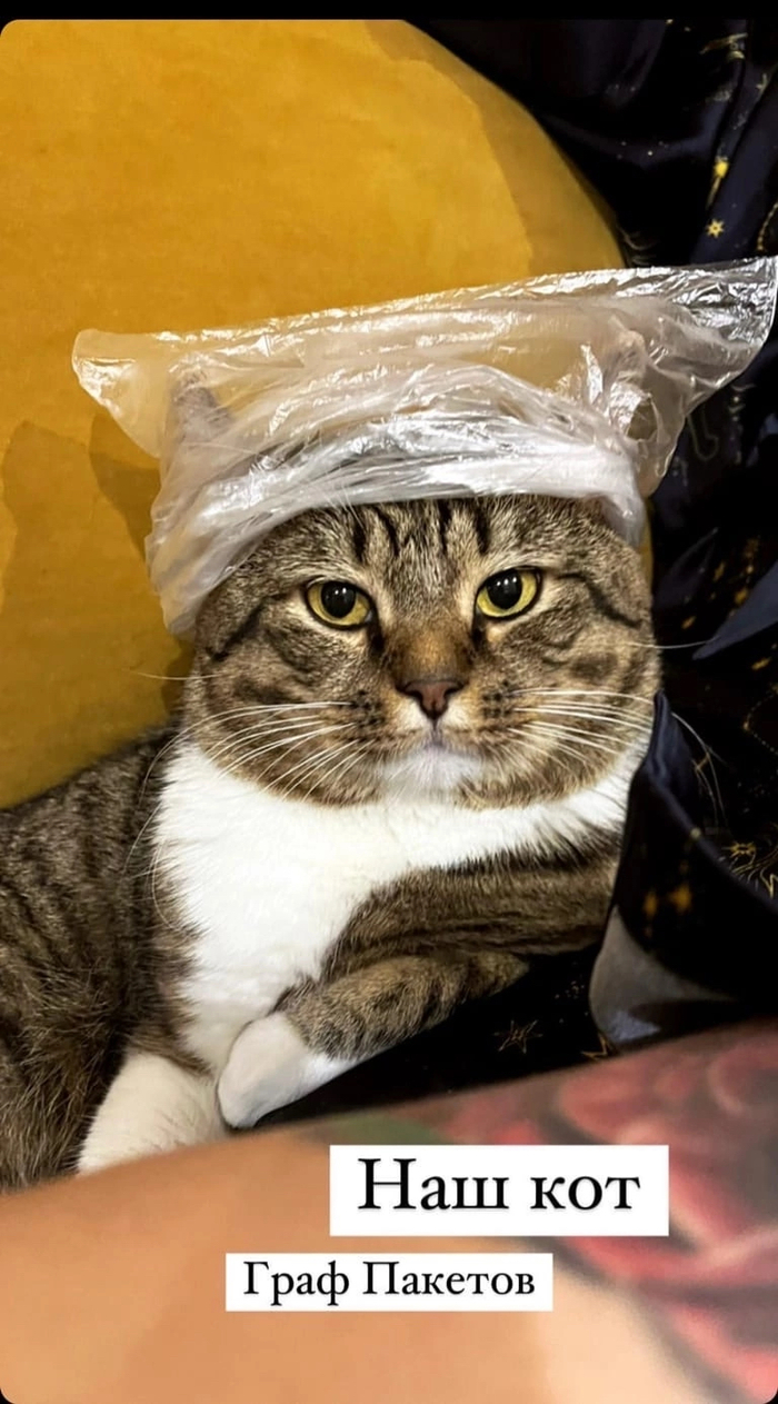 ���� �������