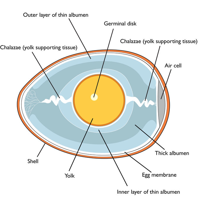 ������ ������������. ����� 1