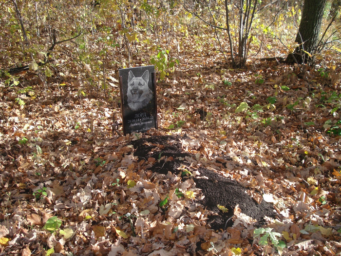 ��� ��� ��� - �������� � �����, � �� ��� ��� - ��� �����