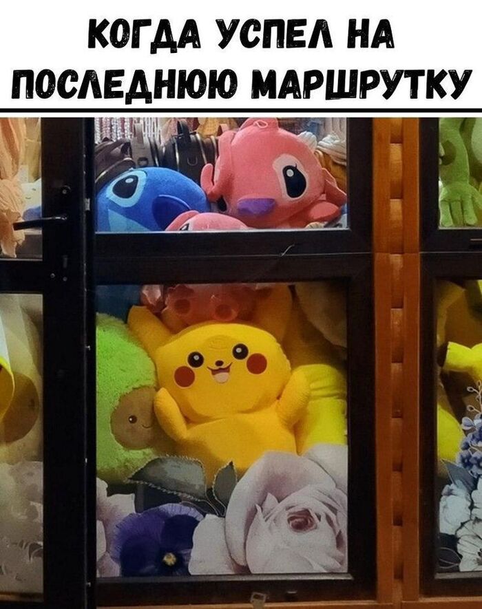 И так каждый день...